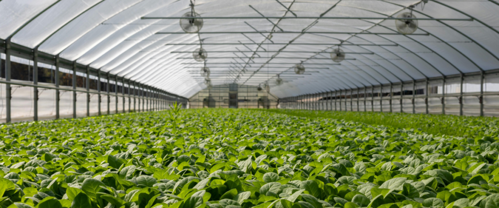 energia en el entorno rural-como Powerworks impulsa la agricultura y la ganadería