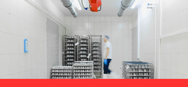 Claves para proteger la producción en la industria alimentaria