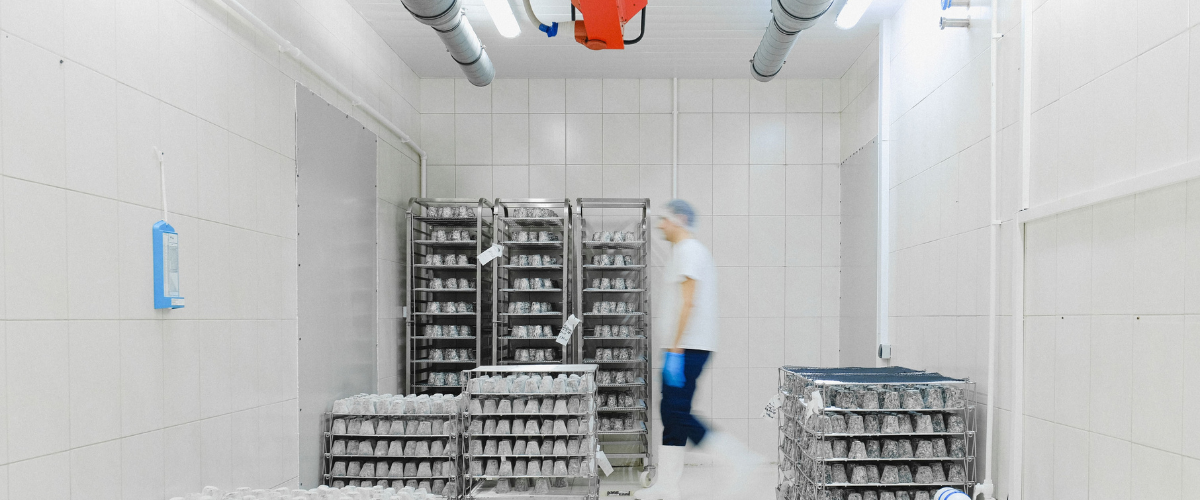 Claves para proteger la producción en la industria alimentaria